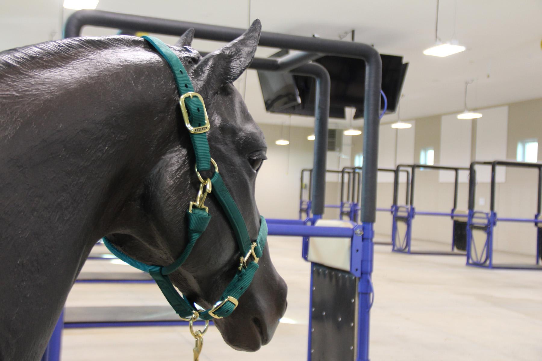 Equine Teaching Center